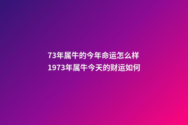 73年属牛的今年命运怎么样 1973年属牛今天的财运如何